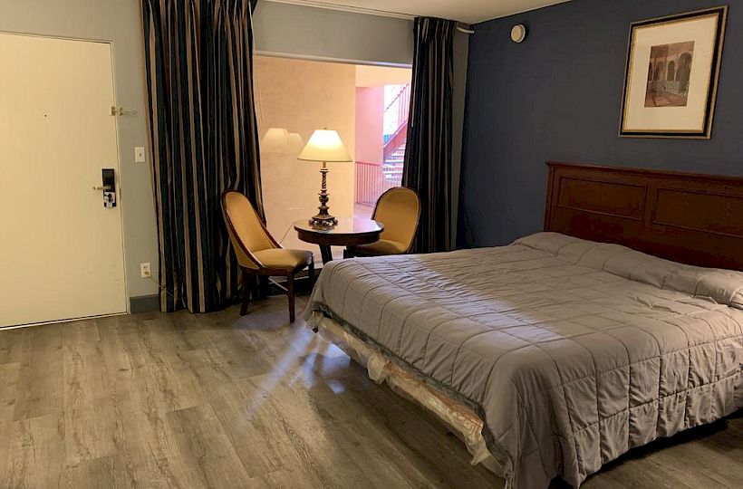 A hotel room with a bed, side table, lamp, two chairs, and a picture on the wall. The floor is wooden, and there are long curtains by the window.